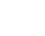 logo 11 (1)